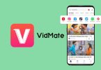 download vidmate