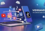 vidssave video downloader